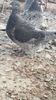 20181005_140339(0)