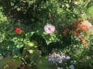 5980174B-EE07-49DF-A2BD-DBA4CF7C8E7D