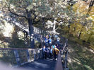 Parcul Natural Vanatori Neamt (8)