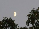 Primul patrar al Lunii in Capricorn
