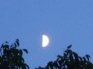 Primul patrar al Lunii in Capricorn
