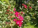 10 aug (58)