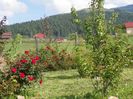 Zeelandia si Vif Eclat