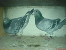 DSC00812