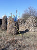 20181013_132711[1]