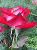 56B83605-BB63-4A21-9DBD-D64761CF6858
