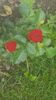 received_2115319808528899