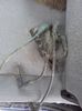IMG-20180323-WA0001