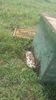 IMG-20180616-WA0000