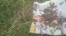 IMG-20180616-WA0001