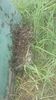 IMG-20180616-WA0002