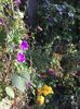 29B811BE-612B-49E5-9FAD-17888C76A5DA