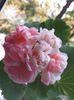 IMG-20181104-WA0023