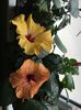 F42171C4-4318-4E26-87C7-779D984A78FD