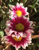 3D70F5DF-A41A-42D1-B332-CA1667ED79A1