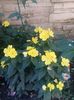 received_254358045391656