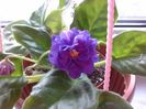 2018:11:13_RS. Poppuri