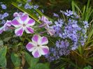 15 sept (11)