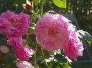 15 oct (10)