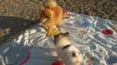 IMG-20181112-WA0010