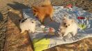 IMG-20181112-WA0011