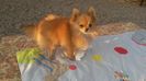 IMG-20181112-WA0006
