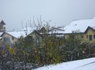 19 nov. 2018 - primul viscol, prima zapada, primul ger