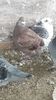 20181119_100719(0)