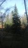 IMG-20181112-WA0007
