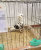 20181110_143305 (2)