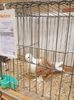 20181110_143421 (2)