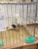 20181110_143304 (2)
