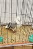 20181110_144045 (2)