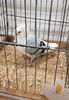 20181110_171957 (2)