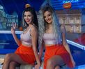 Cronica Carcotasilor
