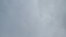 1-IMG_0015