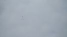 1-IMG_0023