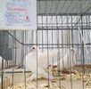 20181124_134912 (2)