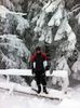 Dima Trofin 20