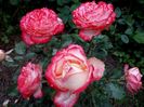 20180705_110815 (2)