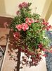 IMG-20181204-WA0000