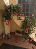 IMG-20181204-WA0042