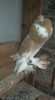 received_204330910507828