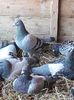 20181013_143458(0)