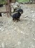 IMG-20180516-WA0000