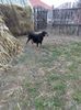 IMG-20181209-WA0010