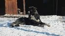 20181201_132403[1]