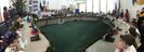 IMG-20181221-WA0010