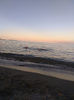 IMG-20180730-WA0043