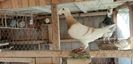20181227_121822(0)